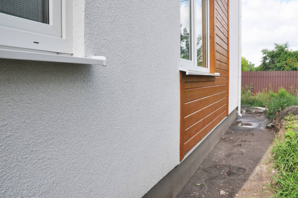 Best Custom Trim and Detailing for Siding  in Mona, UT