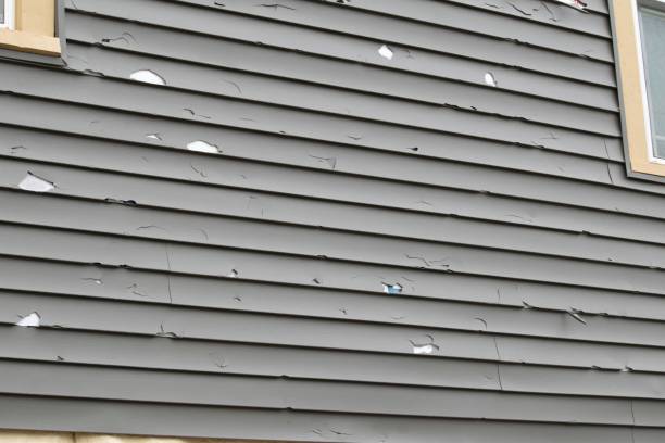 Best Insulated Siding Installation  in Mona, UT